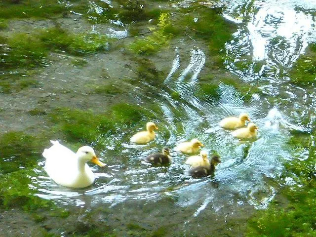 La Di Valcasana Üdülőpark Scheggino